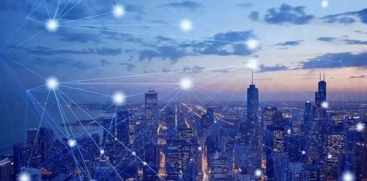 葡萄和哪个好喝豆浆机