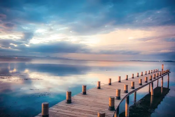 核桃芝麻哪个给宝宝吃