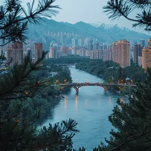 娃娃菜大白菜哪个寒凉