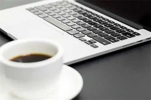 鸡胗在鸡的哪个地方